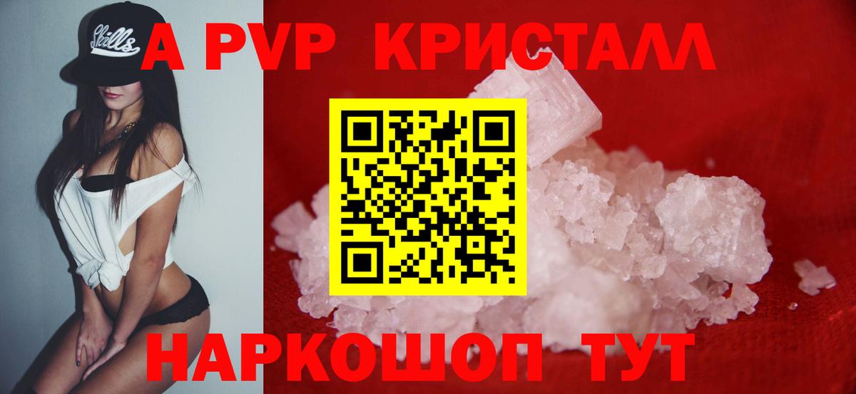 APVP СК Асино