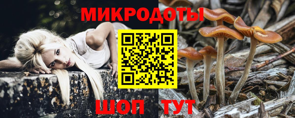 Псилоцибиновые грибы GOLDEN TEACHER  где купить   Асино  Вход с VPN  Галлюциногенные грибы прущие грибы 
